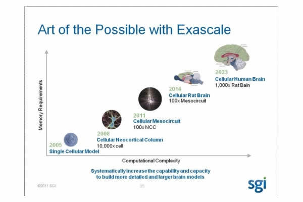 brain modeling projection